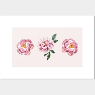 Pink Peonies Posters and Art